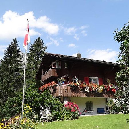 Apartment Chalet Spannortblick Engelberg Buitenkant foto