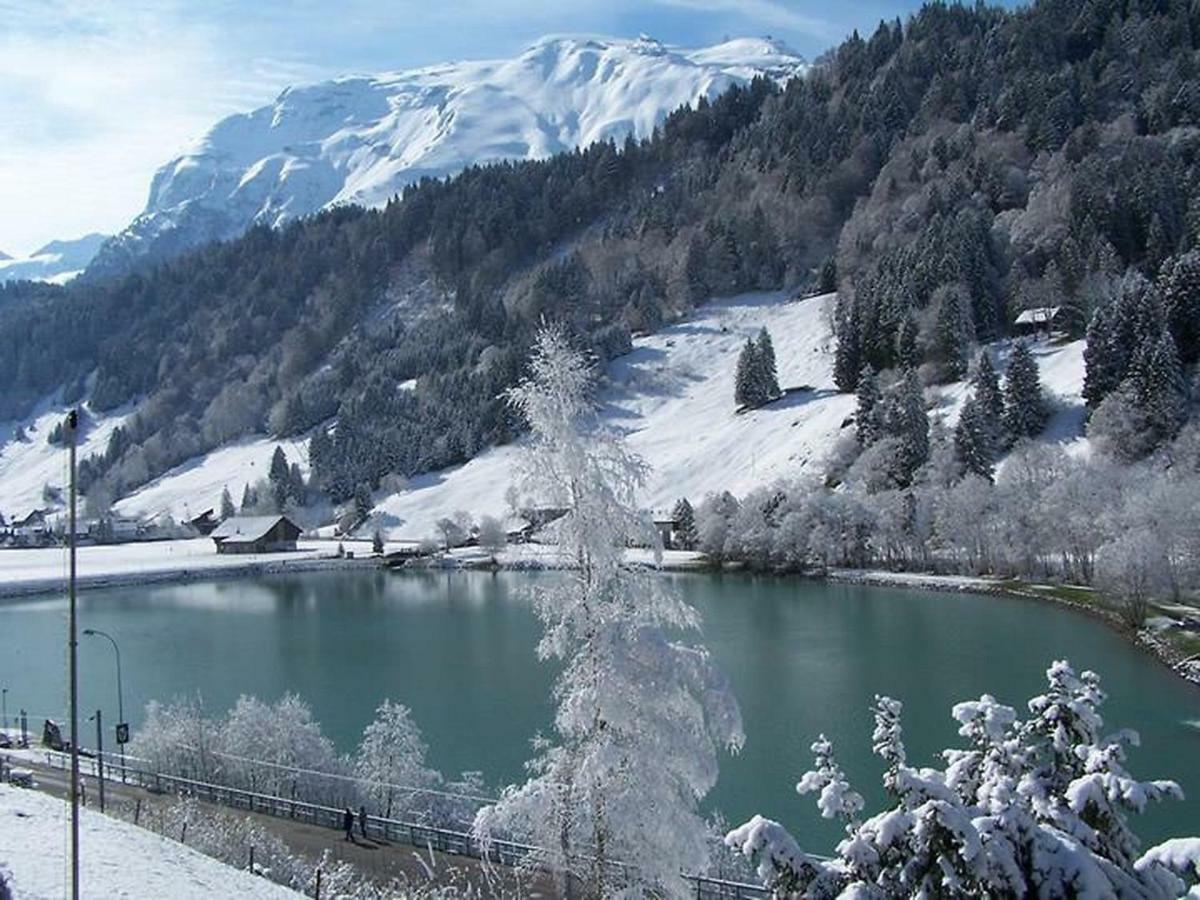 Apartment Chalet Spannortblick Engelberg Buitenkant foto